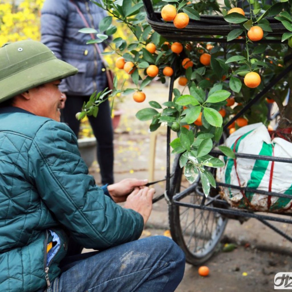 H20 Event – Liên hệ 0988663466