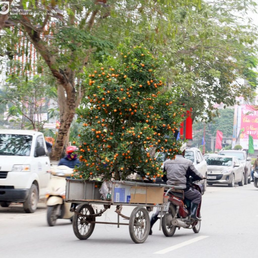 H20 Event – Liên hệ 0988663466
